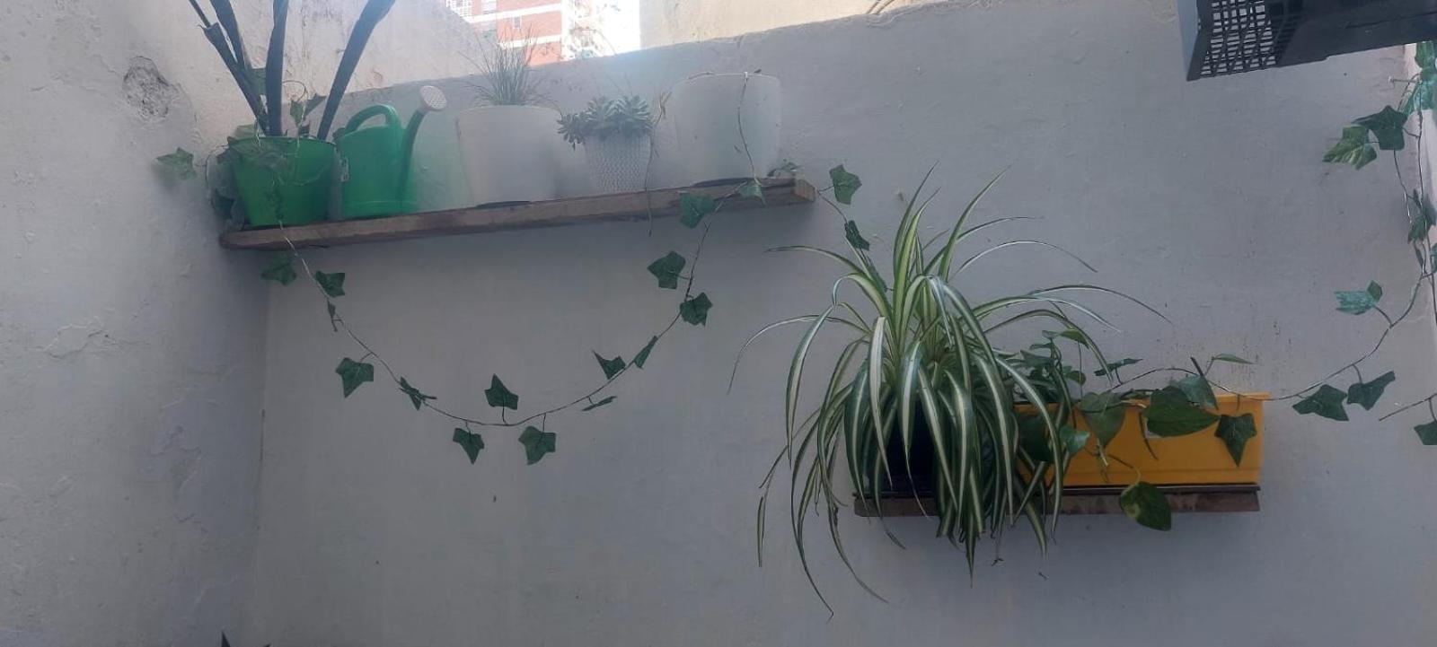 El Corazon Del Mono Apartamento